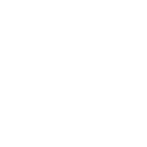 Immigration Compliance Services