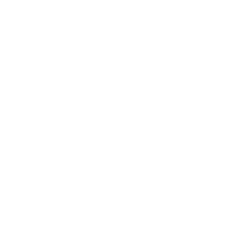 Corporate Governance